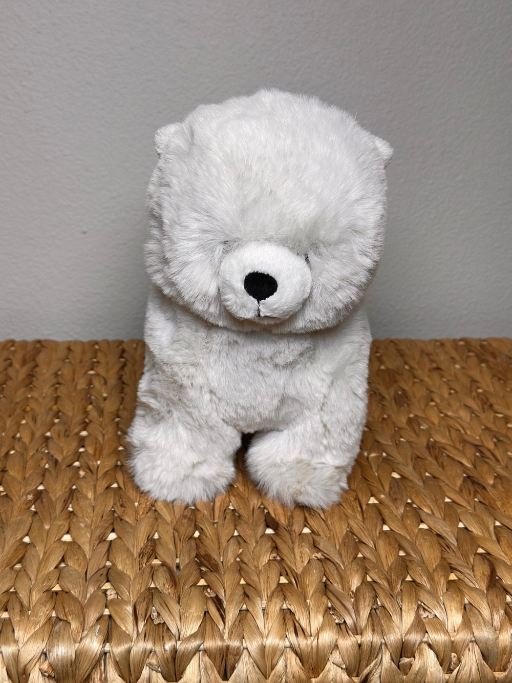 Jellycat Daphne Pomeranian 
Brand new with partial tag (see last pic)  / Retired